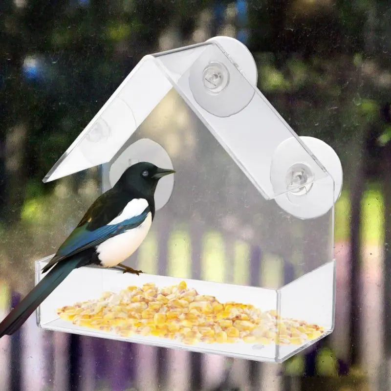 Acrylic Clear Bird Feeder with Suction for Outdoor Use