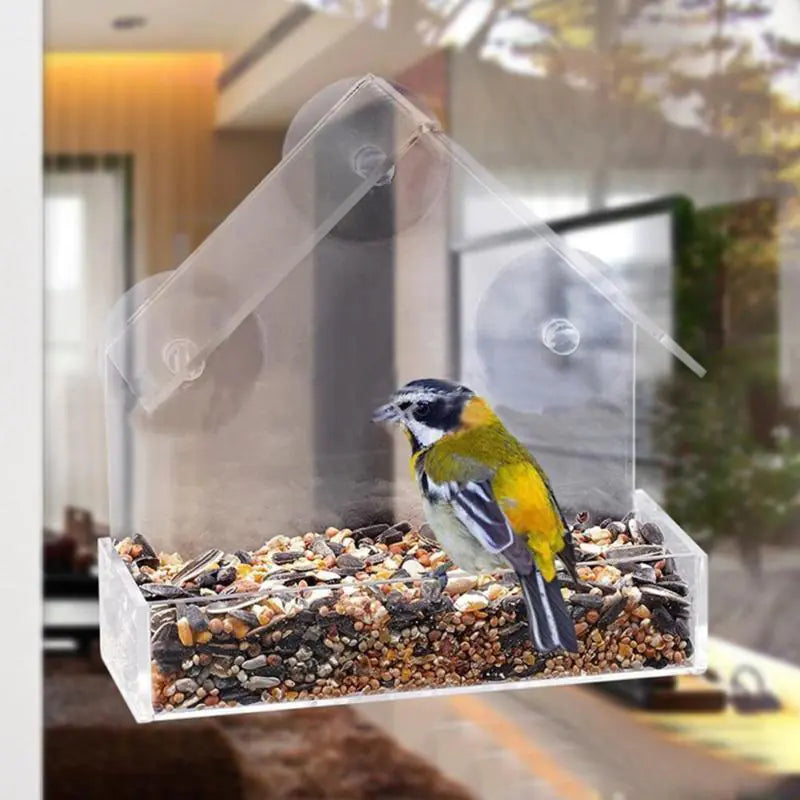 Acrylic Clear Bird Feeder with Suction for Outdoor Use