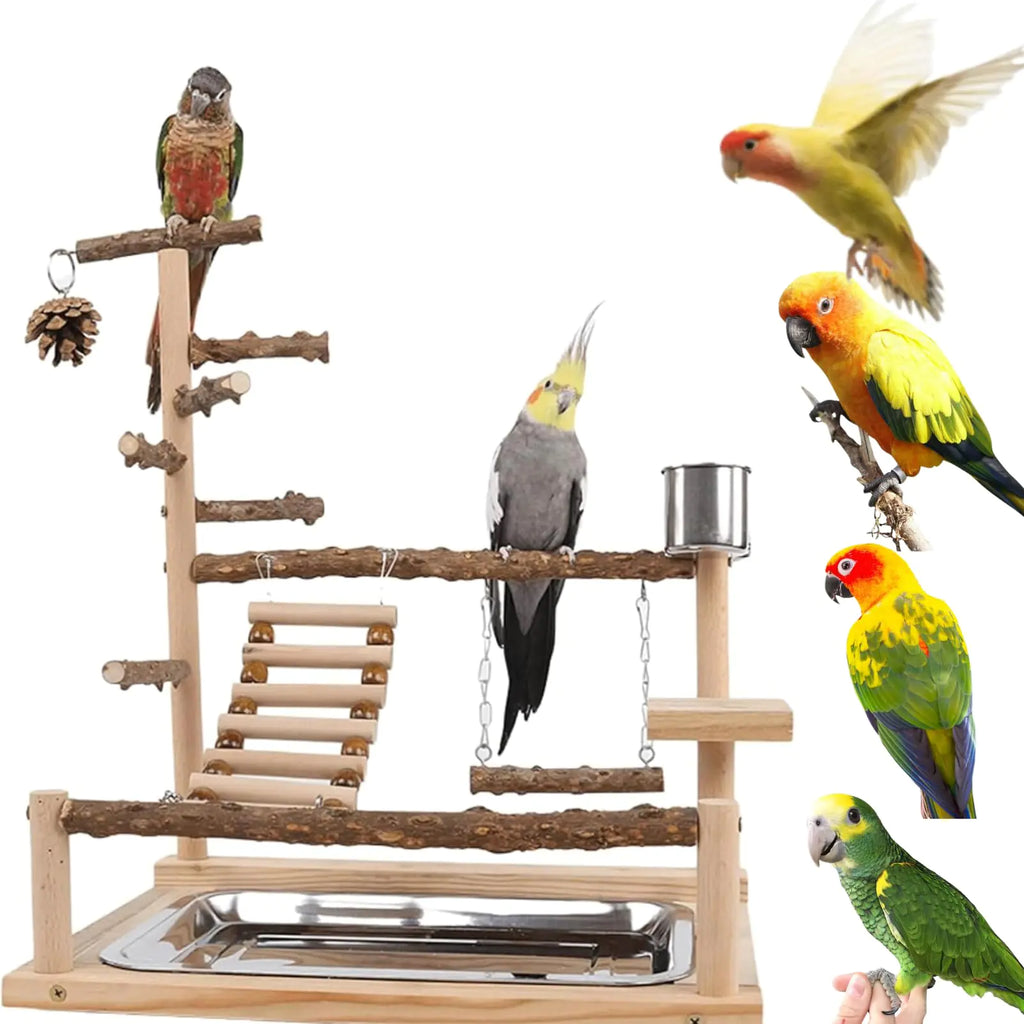 GOVNPJ Bird Playground Bird Stand with Feeder Cups Bird Play Stand Wood Parrot Playground Bird Perch Stand for Cockatiel Parakeet