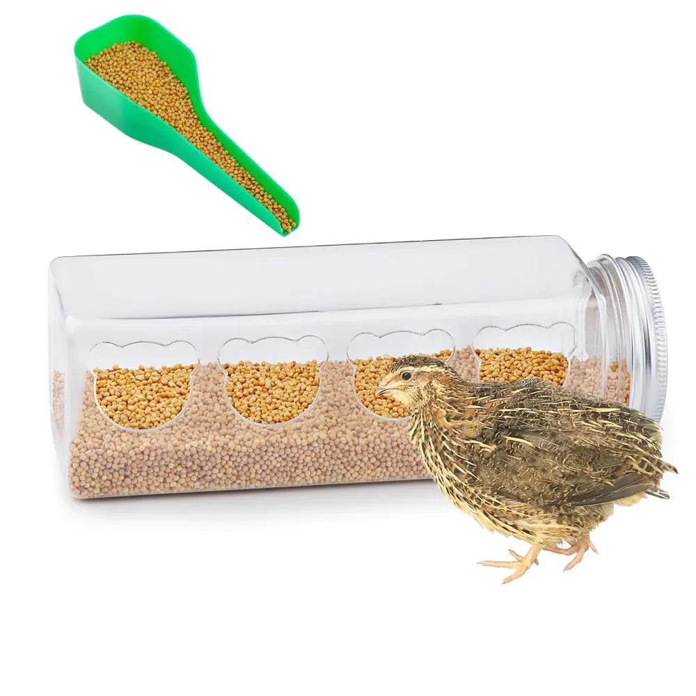 Quail Transparent Feeder Rutin Chicken Feed Box Chick Small Bird Seed Food Container with Food Spoon (4 Holes)