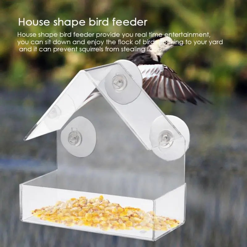 Acrylic Clear Bird Feeder with Suction for Outdoor Use