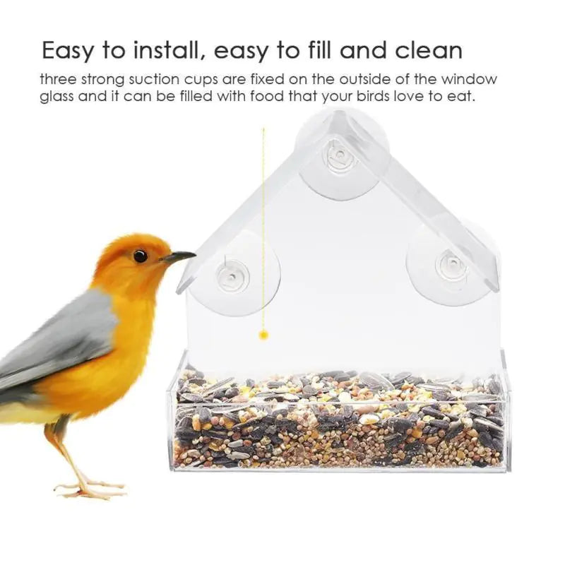 Acrylic Clear Bird Feeder with Suction for Outdoor Use