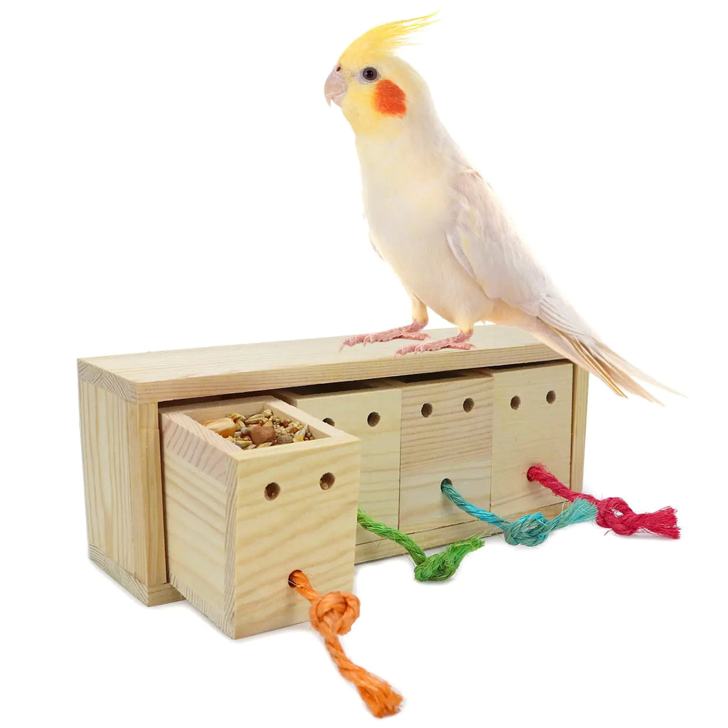 Litewoo Bird Foraging Feeder Toy Training Intelligence Box Wooden for Parrot Budgie Parakeet Cockatiel Conure African Grey Cockatoo Amazon Finch Canary